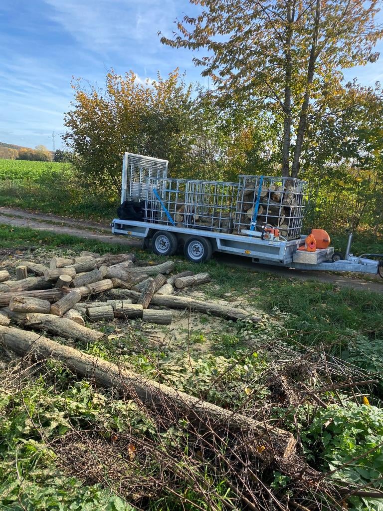 Brandhout, Tuin en Terras, Haardhout, 6 m³ of meer, Ophalen, Overige houtsoorten, Stammen