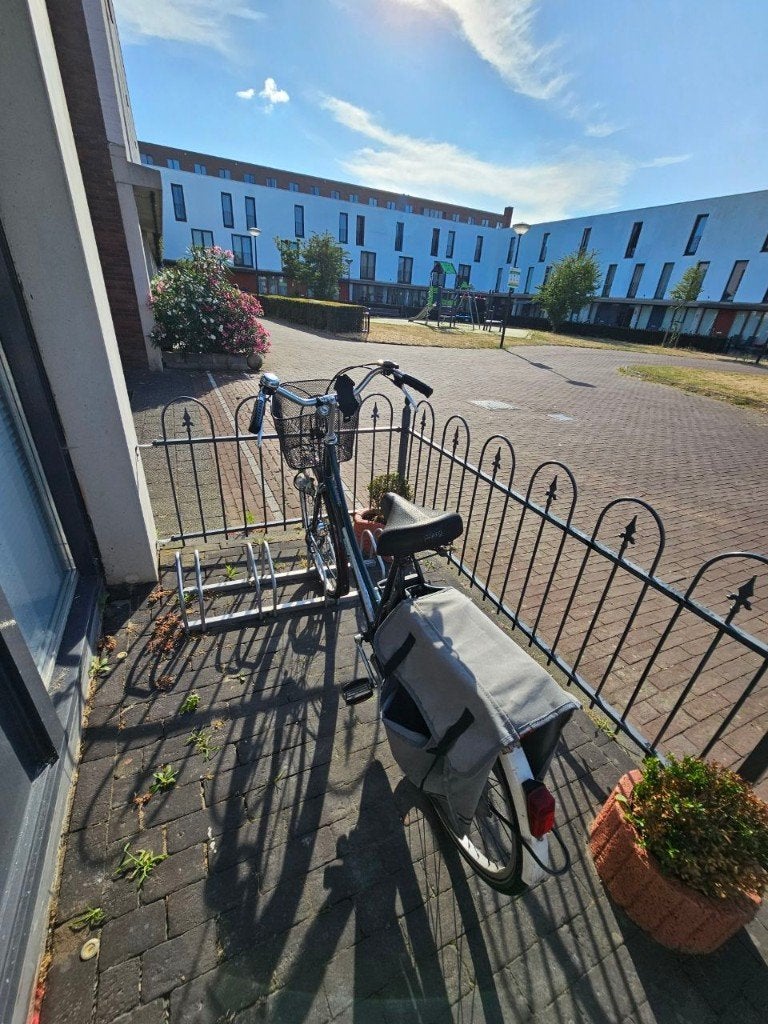 Comfortabele Nederlandse stadsfiets – met fietstassen, Gebruikt, Versnellingen, 56 cm of meer, Ophalen
