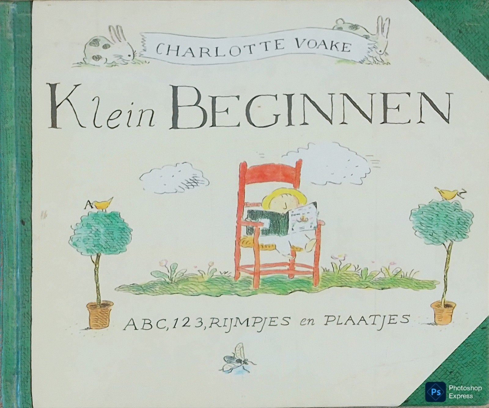 Klein Beginnen, Gelezen, Fictie algemeen, Jongen of Meisje, Ophalen of Verzenden