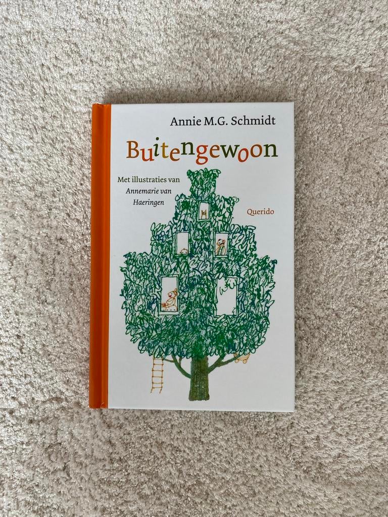 Buitengewoon - Annie M.G. Schmidt (Querido), Boeken, Gedichten en Poëzie, Zo goed als nieuw, Ophalen of Verzenden