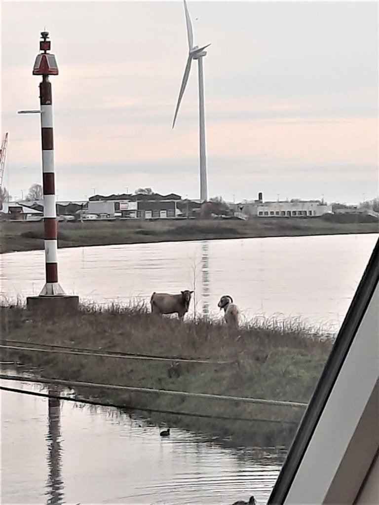 NIEUW! Woonruimte te huur Westervoortsedijk, Arnhem
