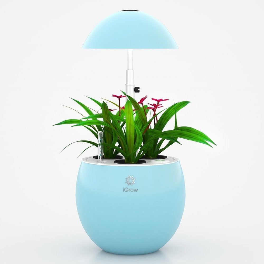 UrbanGreen I-GROW G301 Indoor Hydrocultuur Kweekset, Ophalen of Verzenden, Nieuw