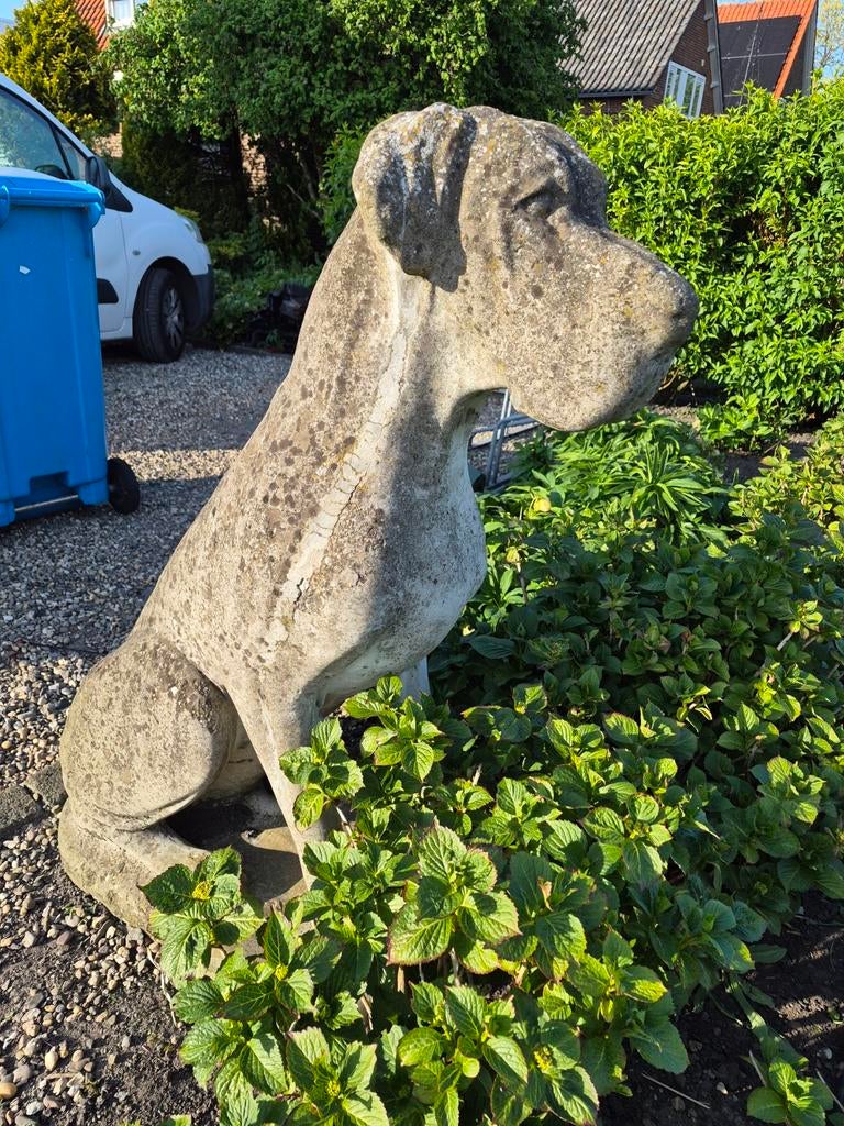 Grote stenen Duitse Dog tuinbeeld, Ophalen, Gebruikt, Beton, Dierenbeeld