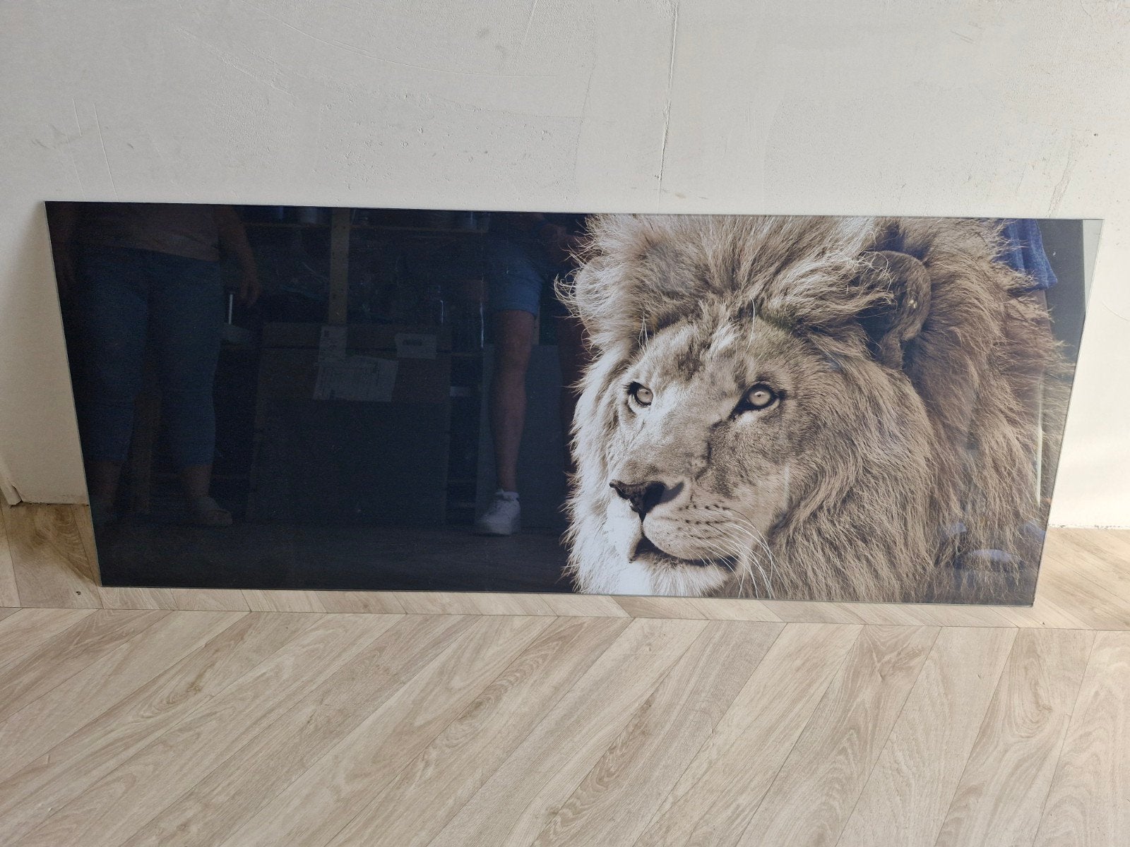 PURE LIVING Schilderij glas Leeuw 50x125 cm, Antiek en Kunst, Ophalen, Glas, Print, Dieren