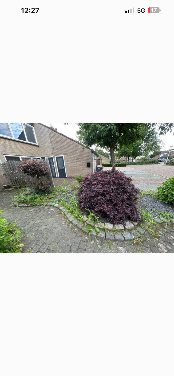 Tuin, Tuin en Terras, Overige soorten, 100 tot 250 cm, Zomer, Ophalen