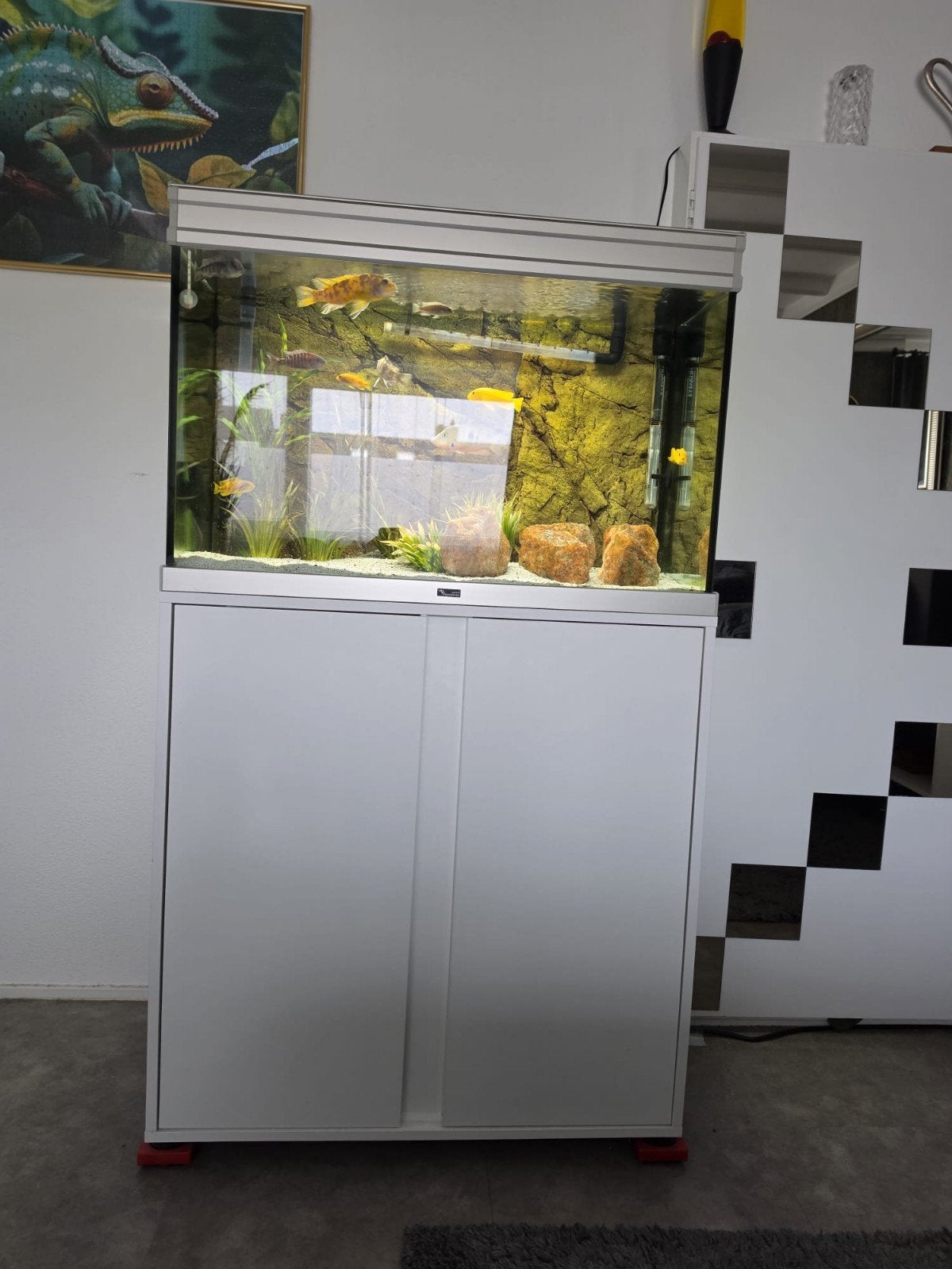 Aqualantis Aquarium 160 liter incl kast, Dieren en Toebehoren, Ophalen, App-bediening, Gebruikt, Aquatlantis