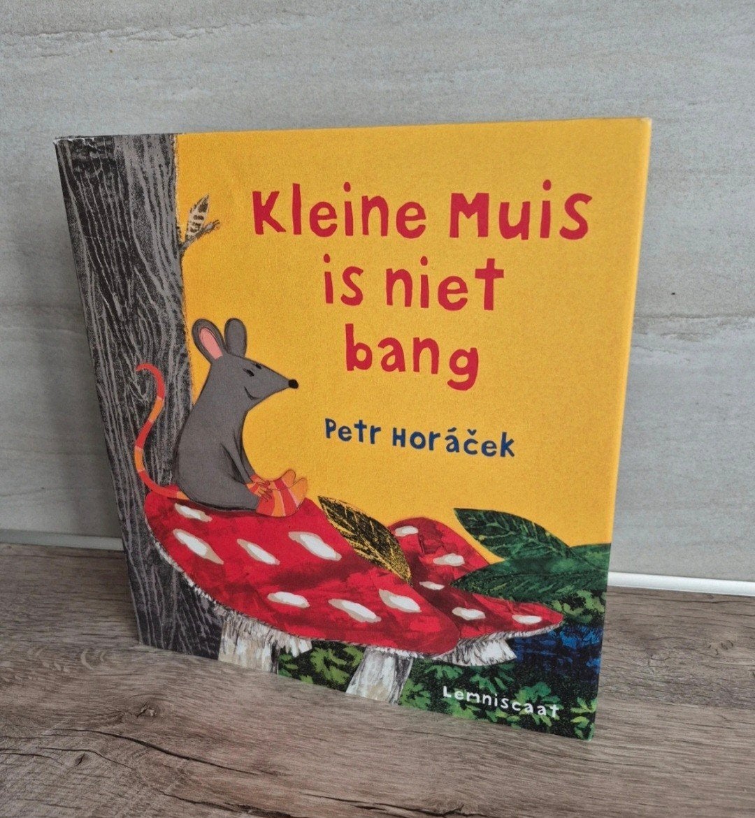 kleine muis is niet bang Petr Horáček, Boeken, Kinderboeken | Kleuters, Fictie algemeen, Petr Horáček, Ophalen of Verzenden, Zo goed als nieuw