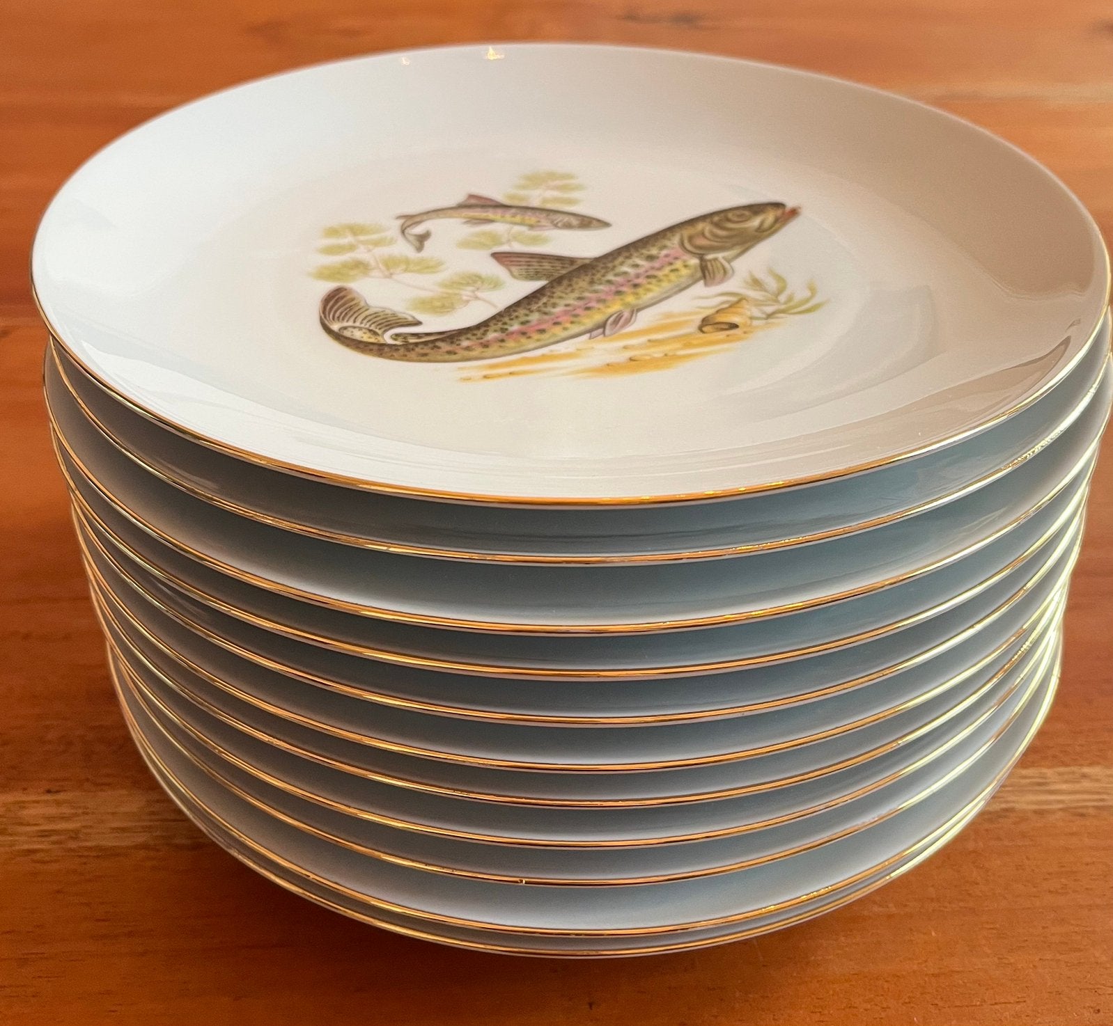 11 borden Ø 24 cm Vis motief, Ophalen, Gebruikt, Overige merken, Vintage