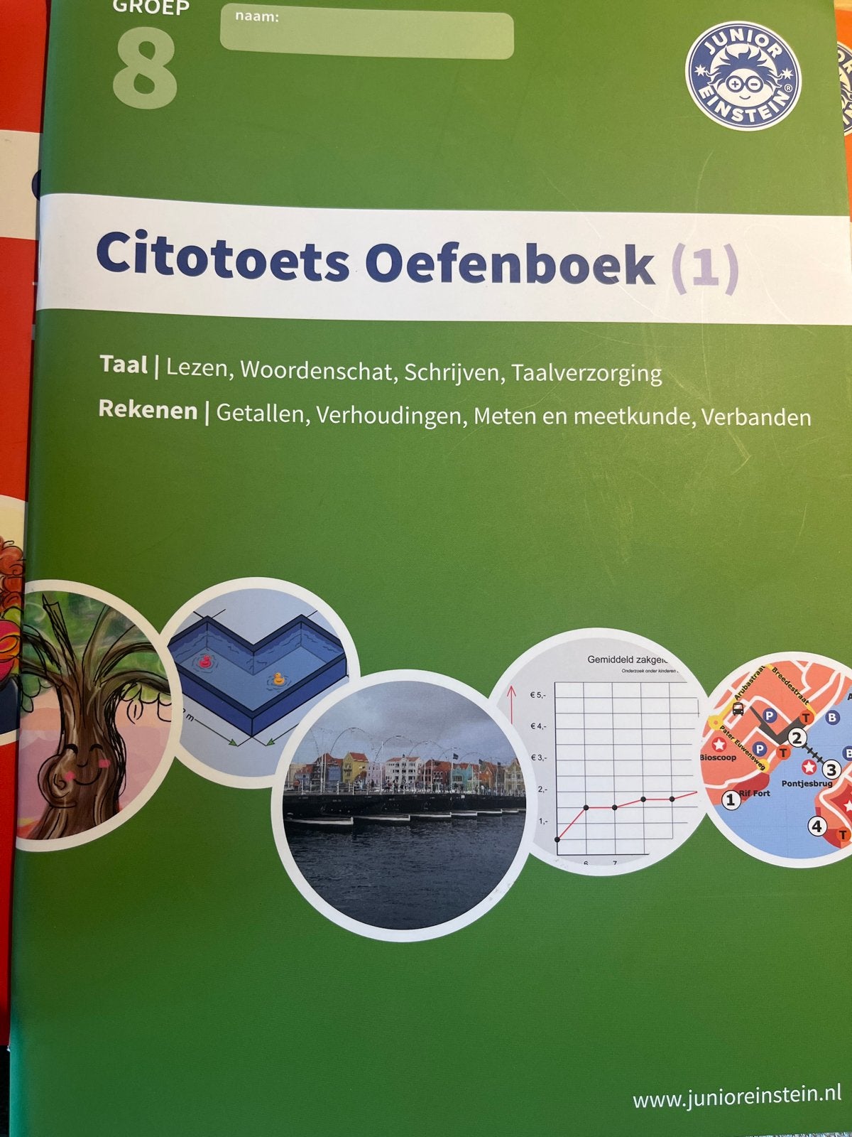 Cito toets oefenboek Junior Einstein Groep 8, Ophalen of Verzenden, Zo goed als nieuw, Overige niveaus, Overige vakken