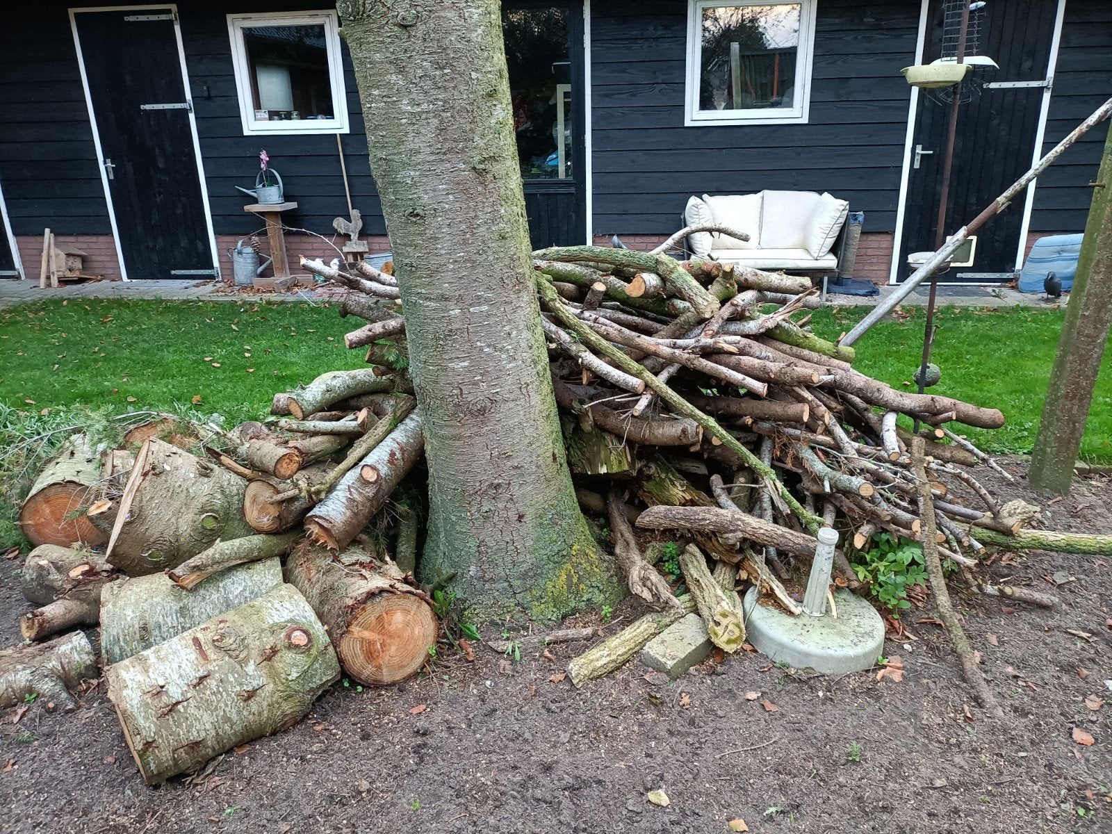 Brandhout kachelhout haardhout dennen hout, Ophalen