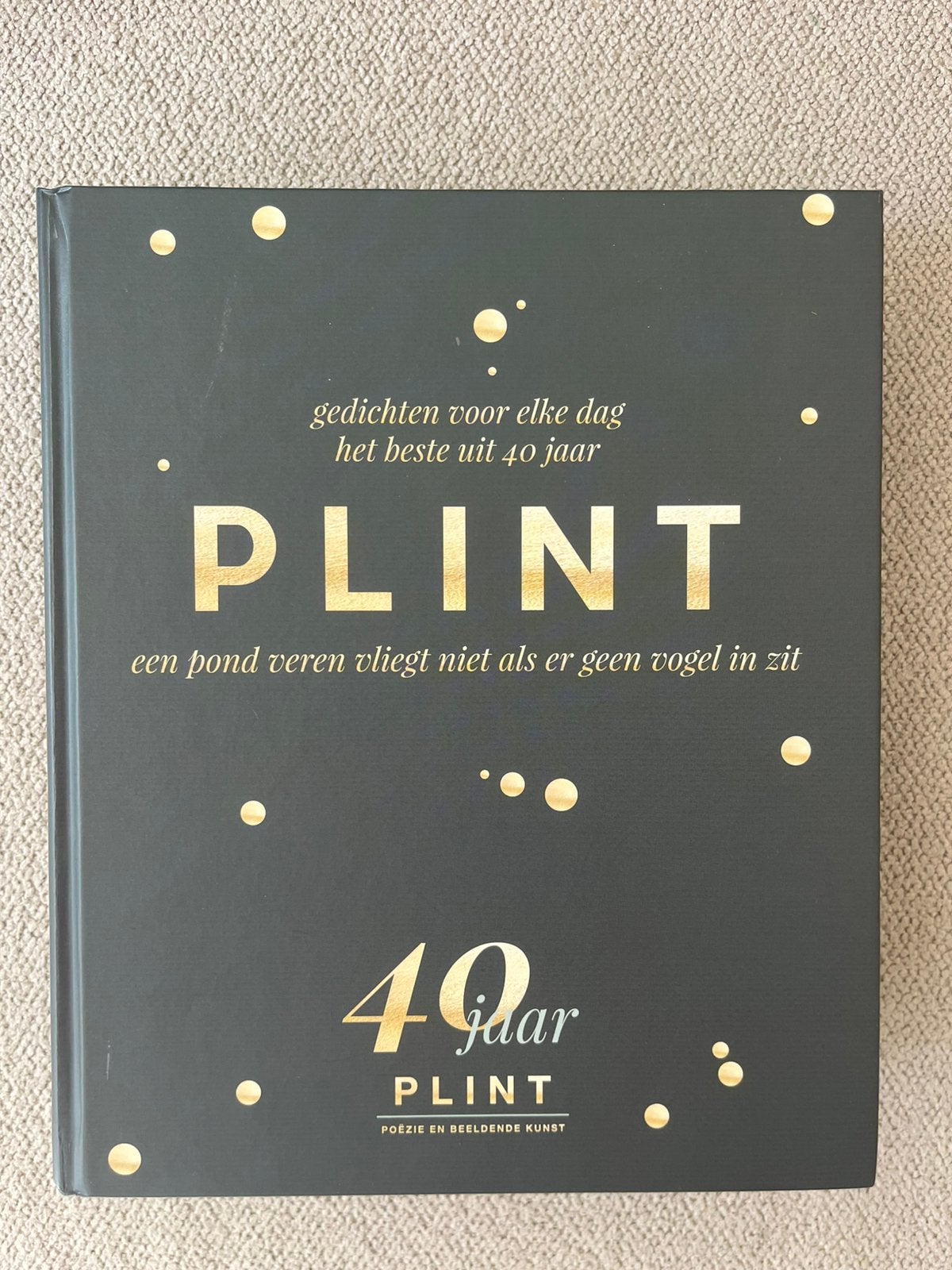 Plint Jubileumboek 40 jaar Plint, Boeken, Ophalen of Verzenden