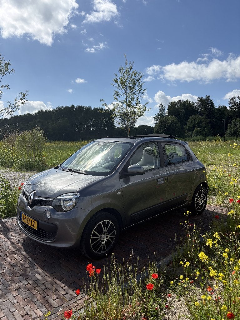 Renault Twingo 1.0 SCe 70pk S&S 2016 Grijs, Voorwielaandrijving, 839 kg, Zwart, 4 stoelen
