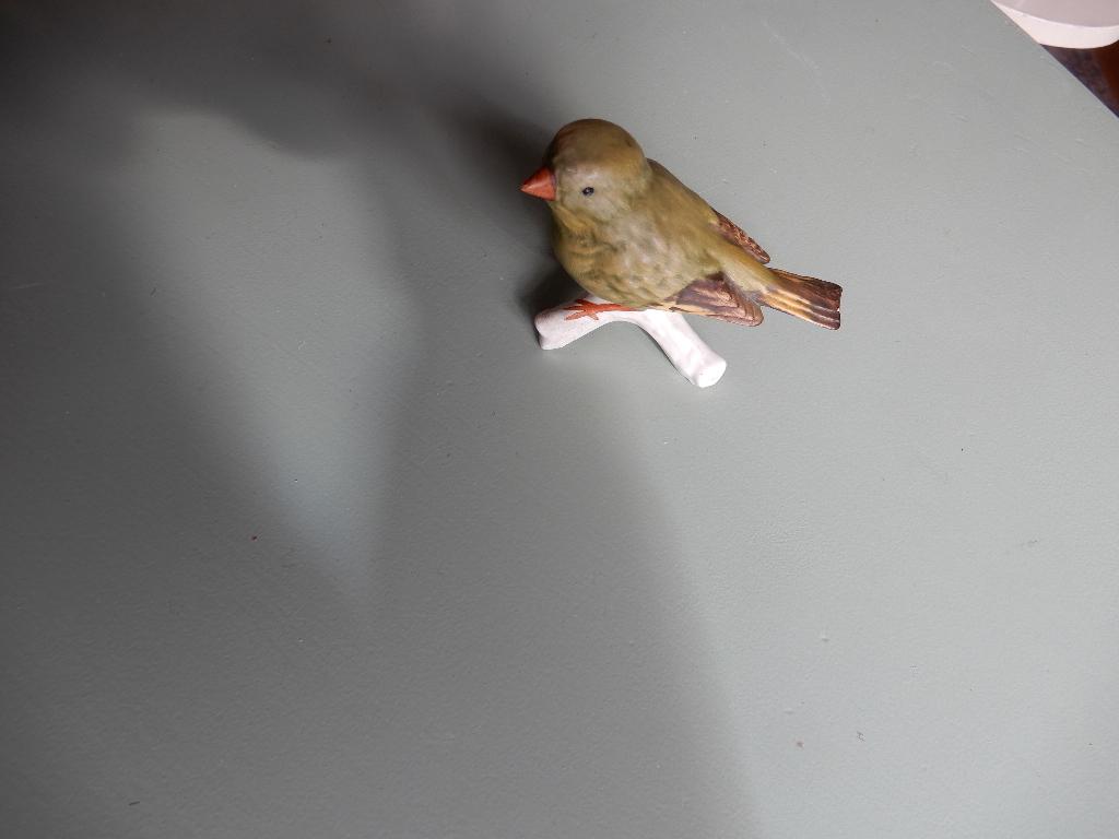 Groenling vogel Goebel, Ophalen of Verzenden, Zo goed als nieuw, Dier