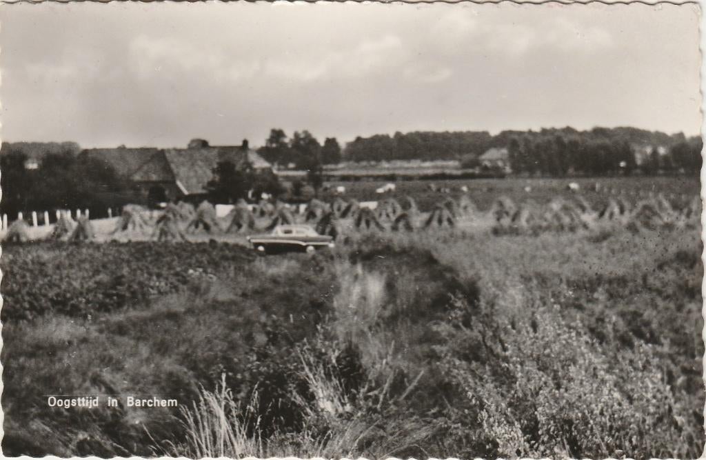 BARCHEM Oogsttijd, Verzenden, 1960 tot 1980, Gelopen, Gelderland