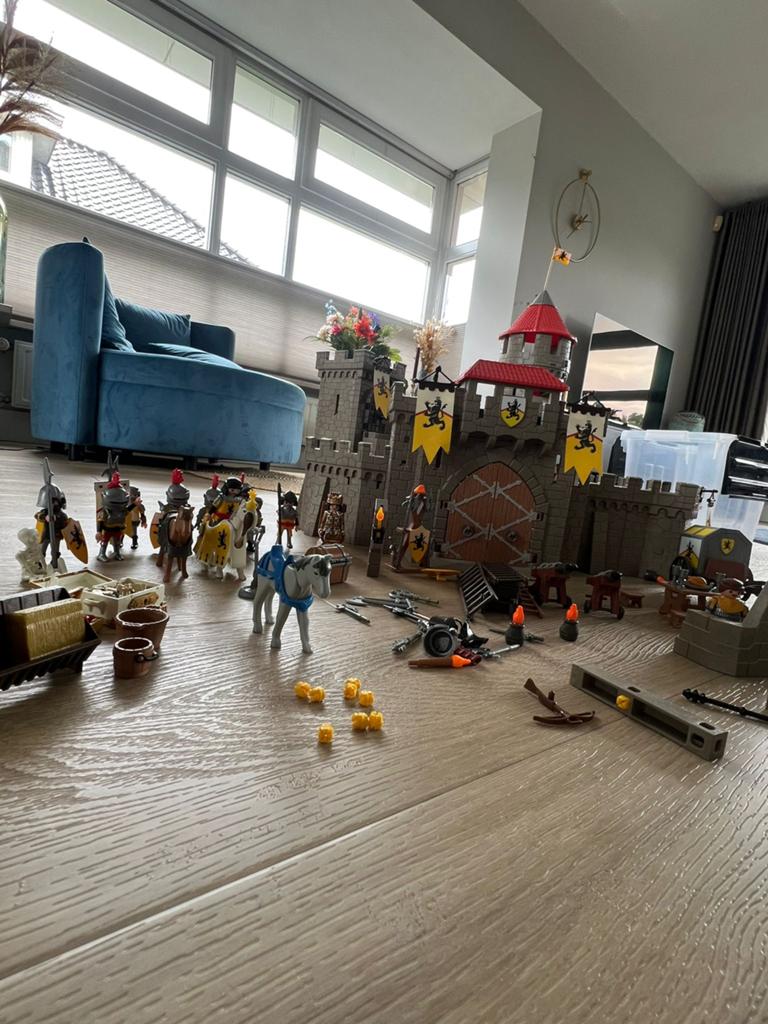 Playmobil Kasteel van de Leeuwenridders 4865, Kinderen en Baby's, Speelgoed | Playmobil, Ophalen of Verzenden, Zo goed als nieuw