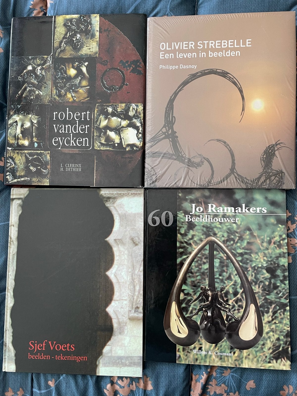 Beeldhouwers Vander Eycken,Olivier Strebelle,Jo Ramakers, Ophalen of Verzenden, Zo goed als nieuw, Beeldhouwkunst