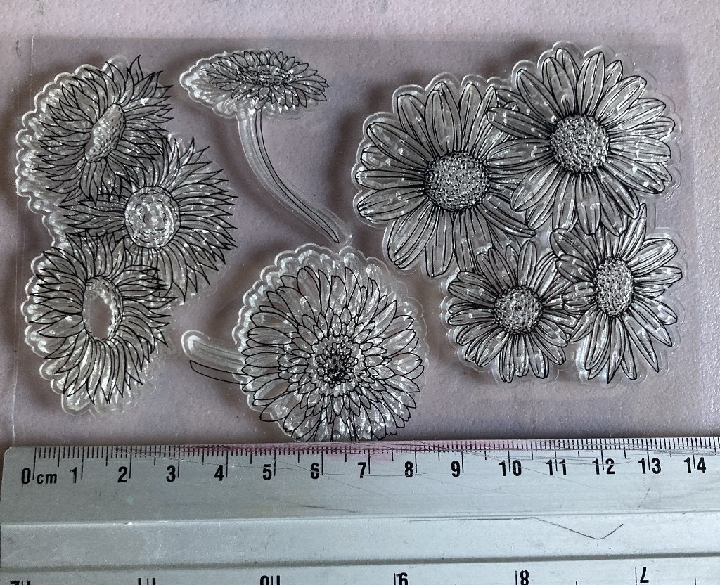 2 grote clear stamps, Hobby en Vrije tijd, Ophalen of Verzenden, Zo goed als nieuw, Clearstamp