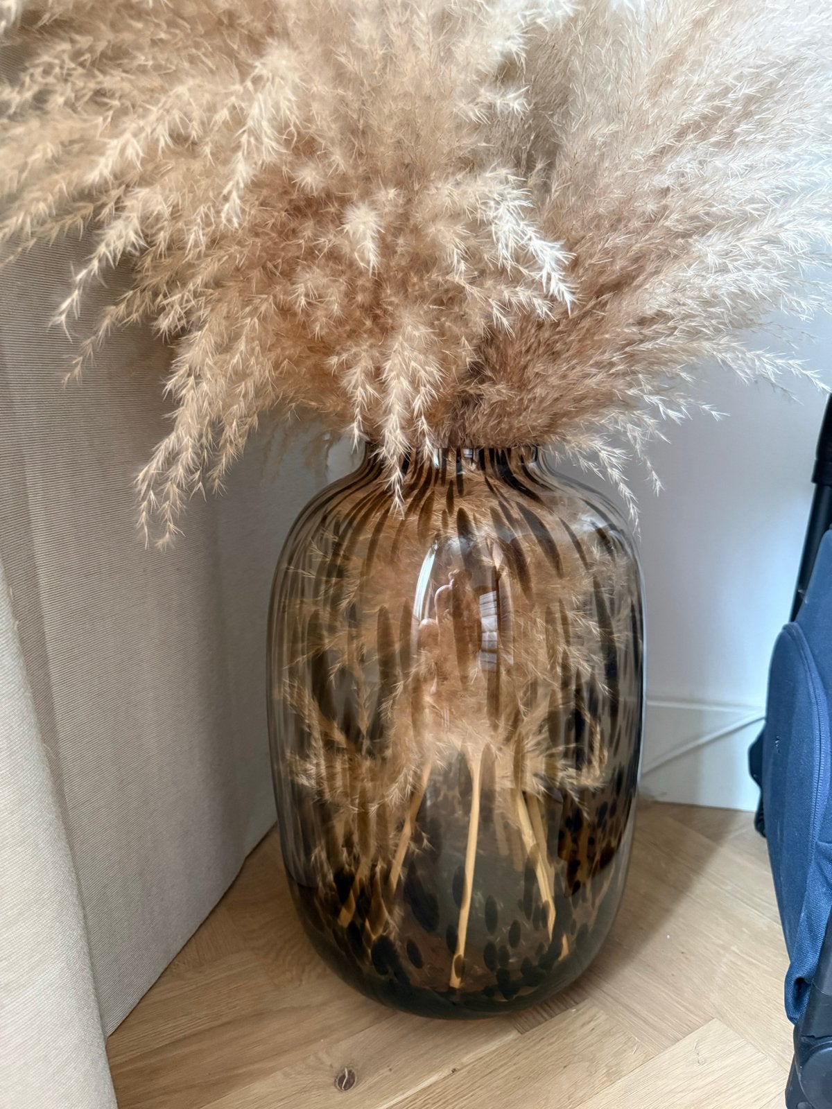 Cheetah vaas Artic L met 10 pampas pluimen, Ophalen, Overige kleuren, Minder dan 50 cm, Glas