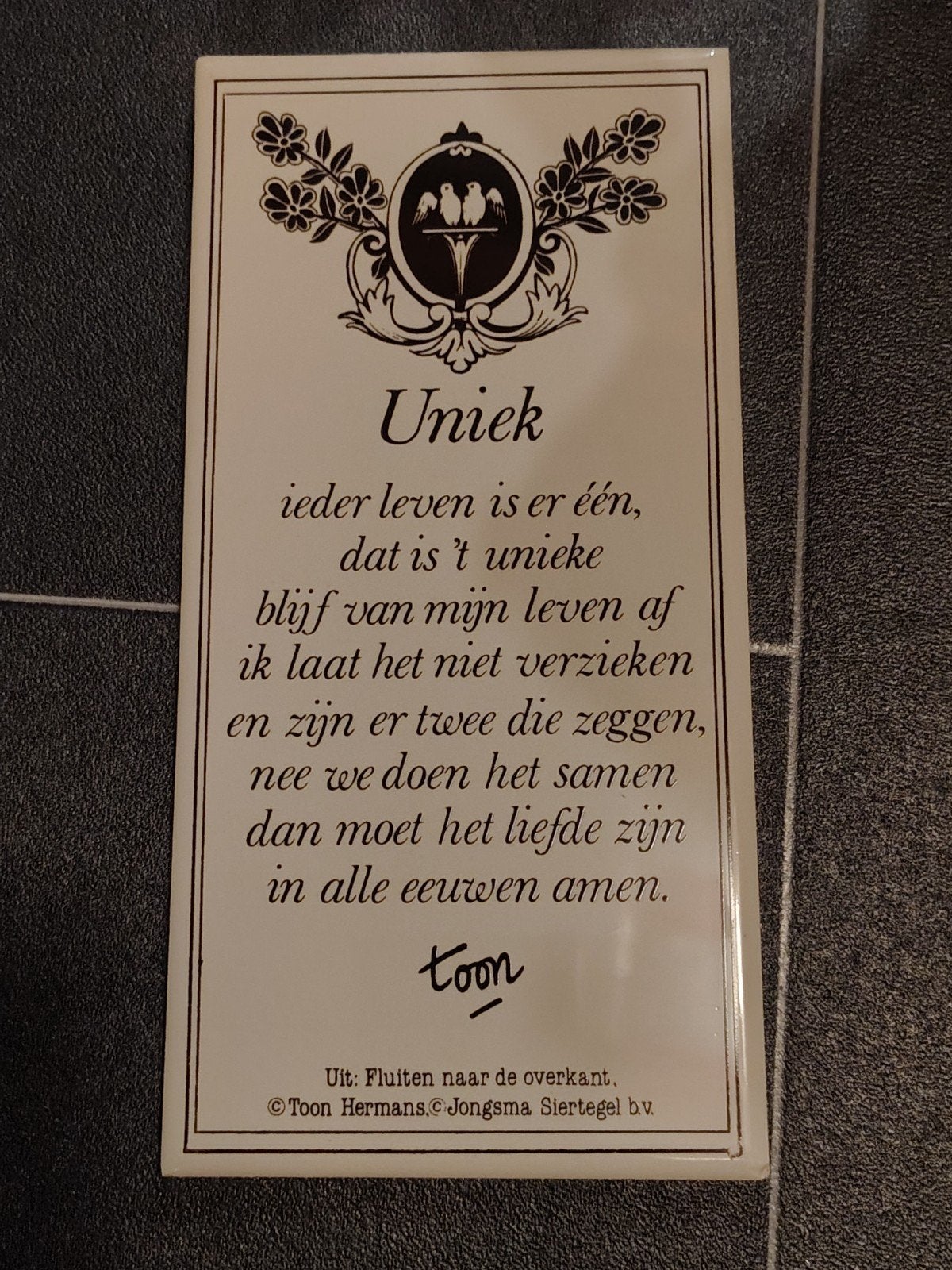 Tegel uniek, Ophalen of Verzenden