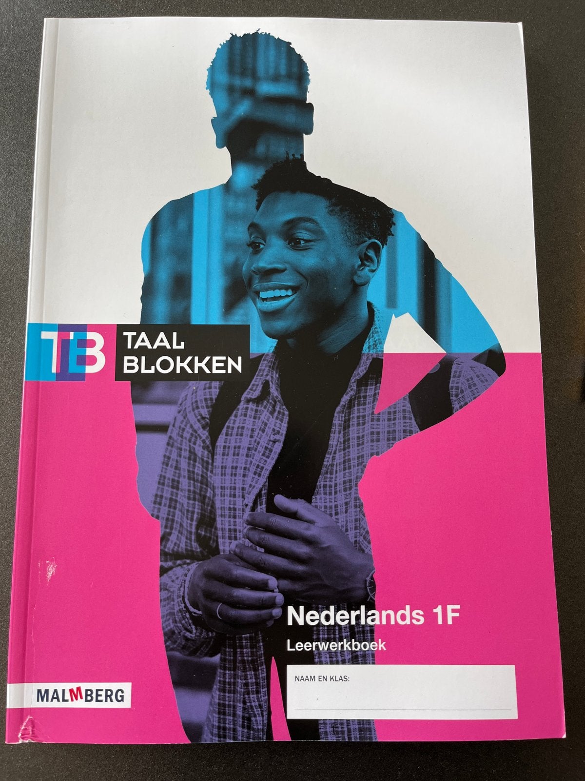 Nieuw Taalblokken Nederlands 1F Leerwerkboek MBO, Ophalen of Verzenden, Alpha, Nieuw, MBO