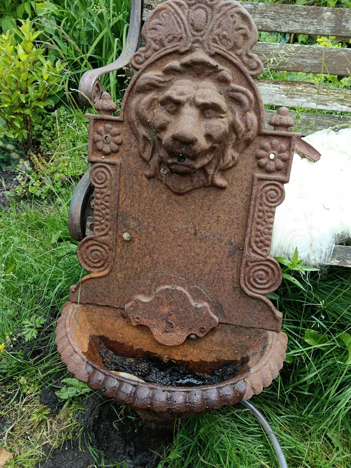 Antieke gietijzeren waterfontein met leeuwenkop, Ophalen