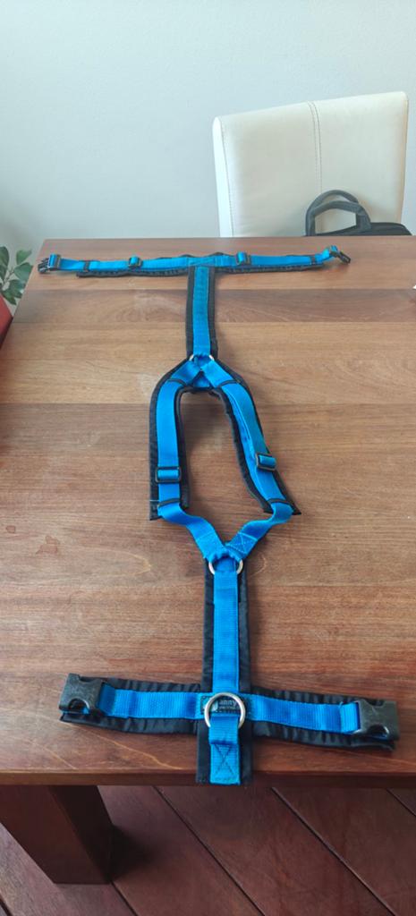 Anny x hondentuig blauw XL, Ophalen of Verzenden, Zo goed als nieuw