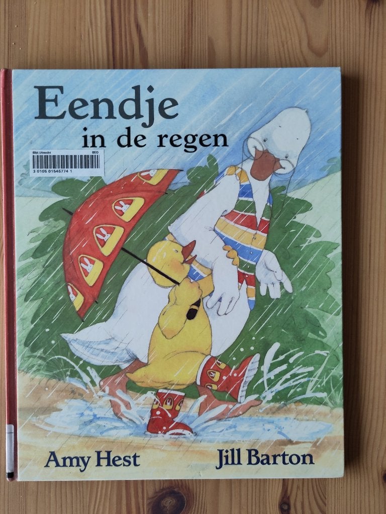 Eendje in de regen, Boeken, Gelezen, 3 tot 4 jaar, Ophalen of Verzenden, Amy Hest