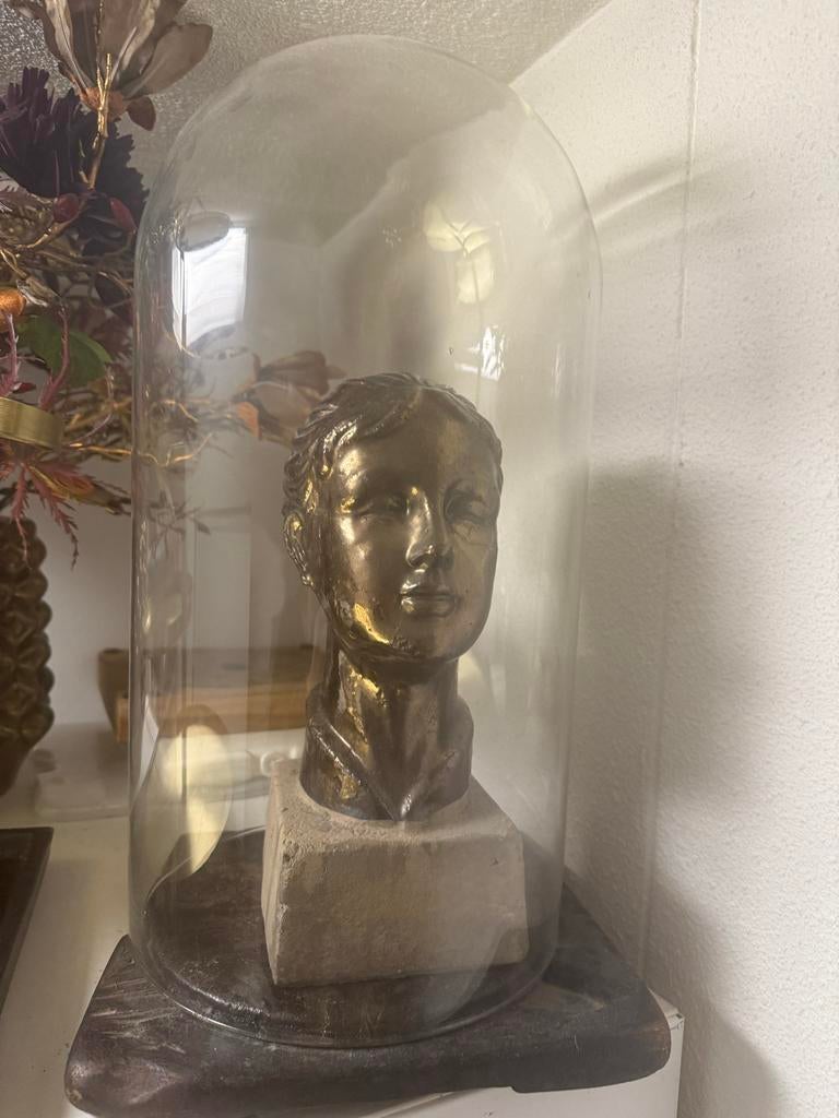 Stenen borstbeeld onder glazen stolp - 45 cm hoog, Huis en Inrichting, Ophalen of Verzenden, Zo goed als nieuw
