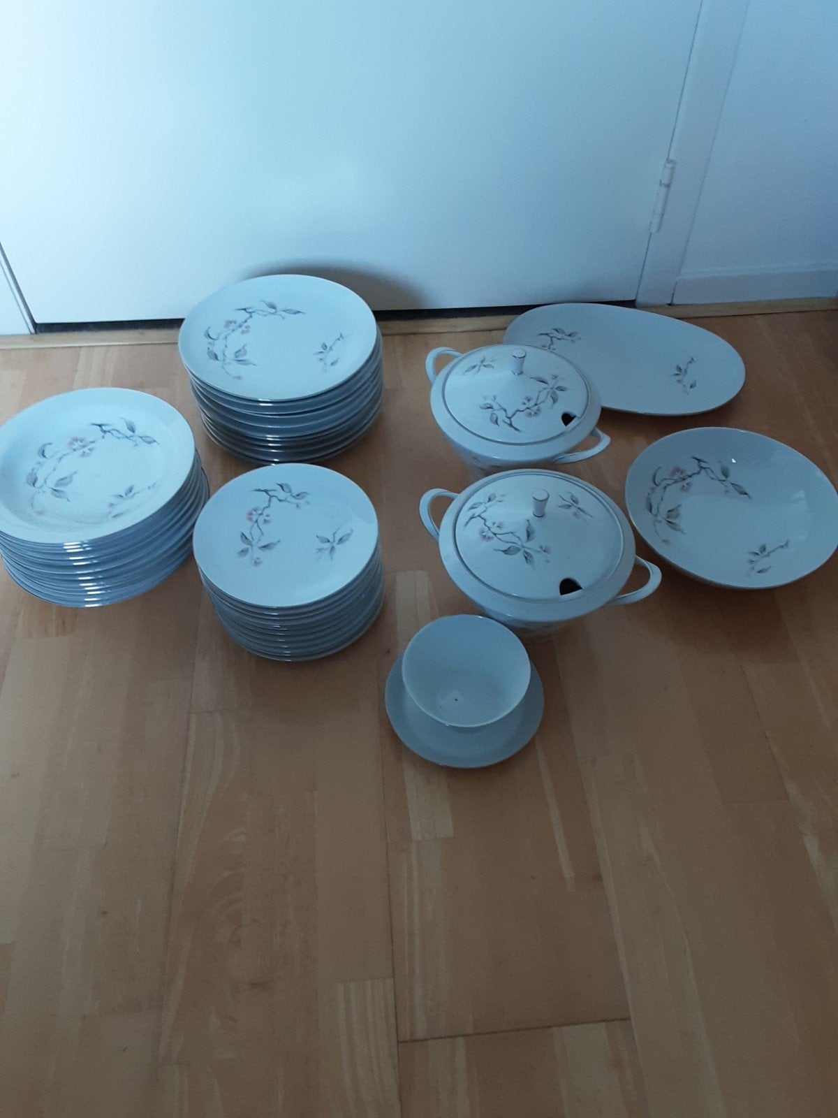 42 delig servies merk Spenzo, Ophalen
