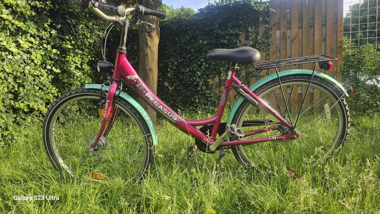 Pegasus damesfiets - Werkt goed, Ophalen of Verzenden, Gebruikt, Overige merken