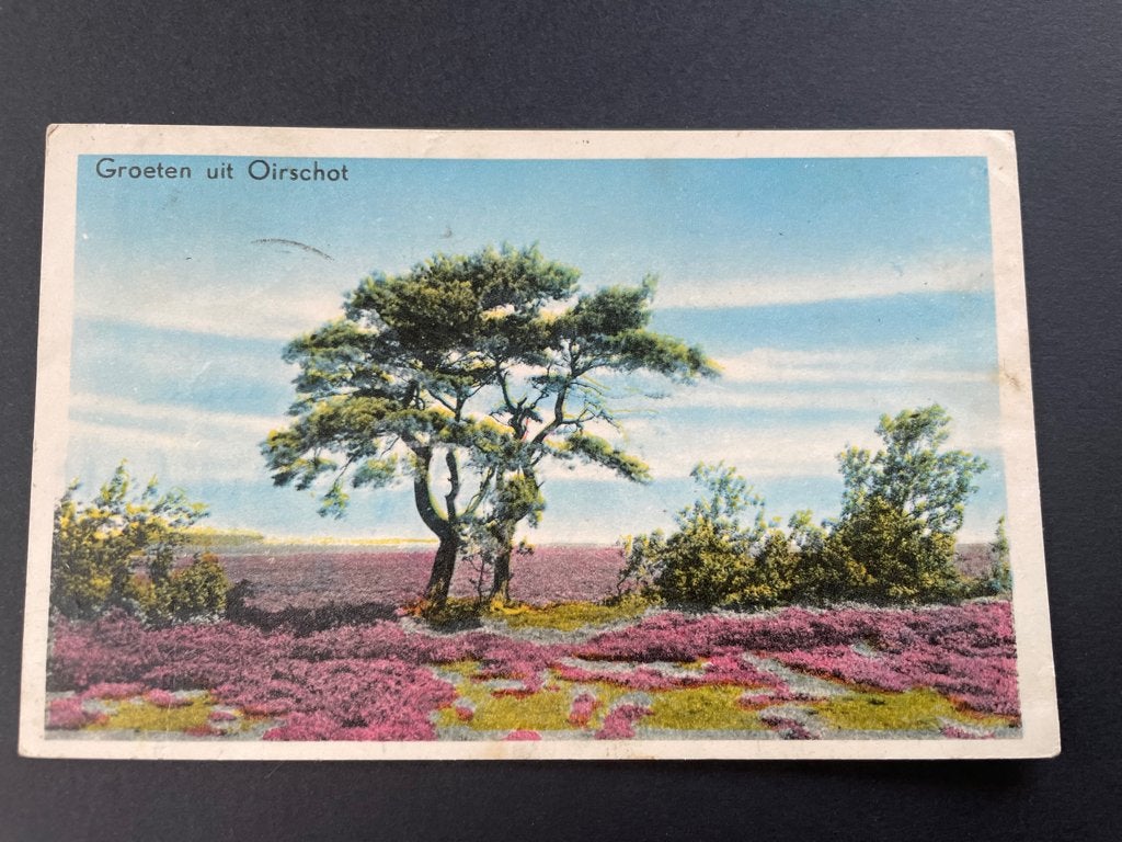 ansichtkaart van Oirschot ; groeten uit Oirschot., Verzenden, 1960 tot 1980