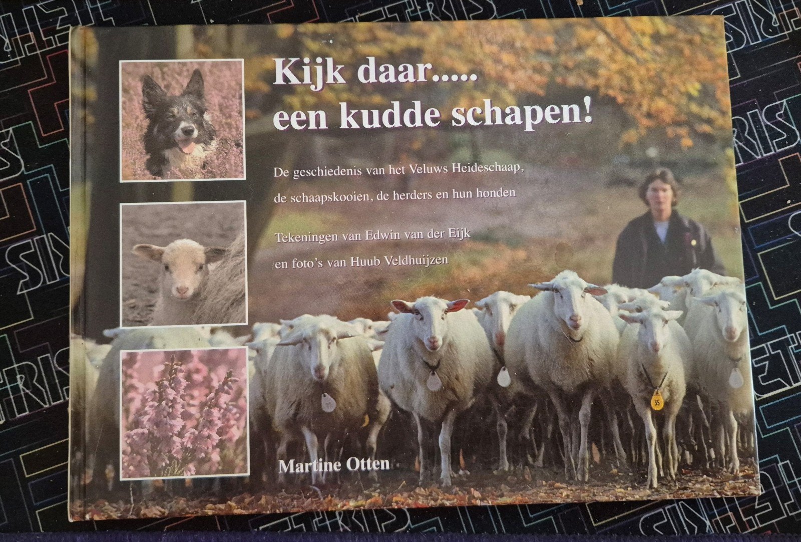Kijk daar.... een kudde schapen! - Martine Oten, Ophalen of Verzenden, Nieuw, Natuur algemeen, Martine Oten
