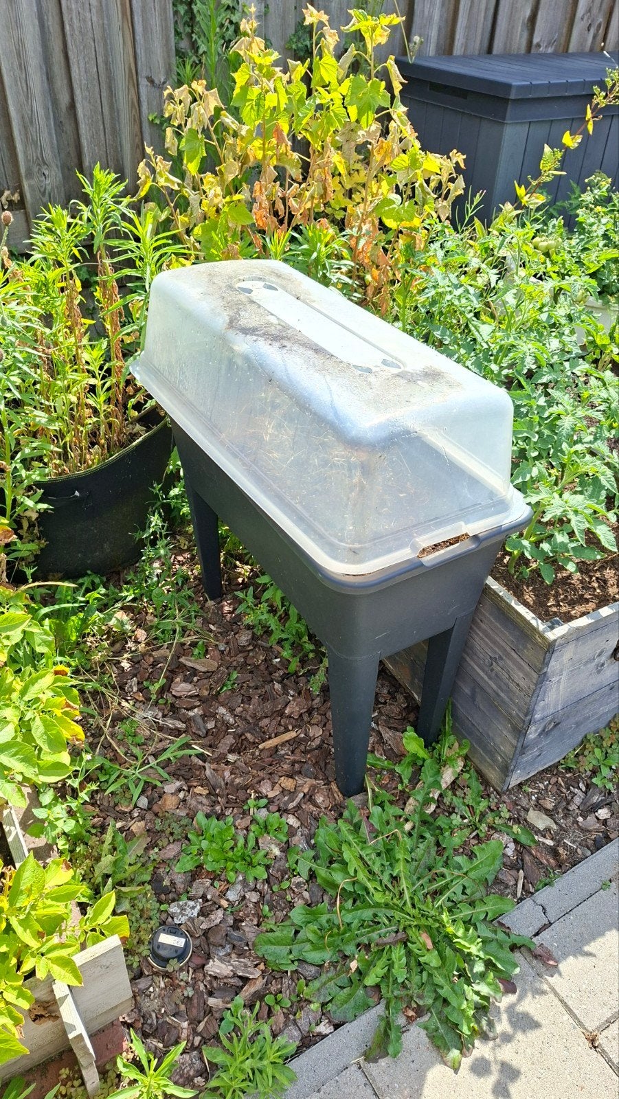 Kweekbak met deksel voor moestuin, Ophalen