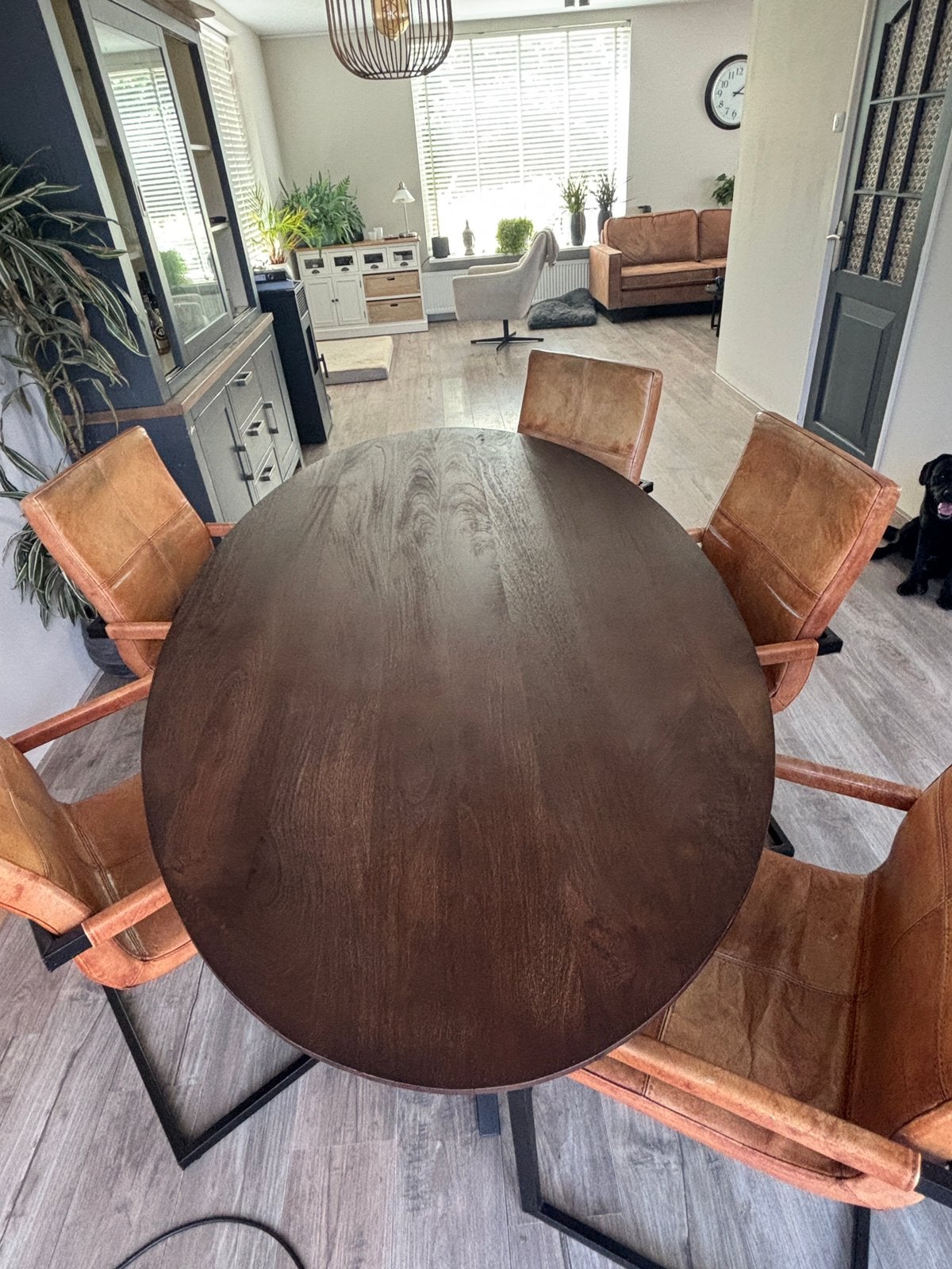 6 leren eetkamer stoelen, Huis en Inrichting, Ophalen, Gebruikt, Leer