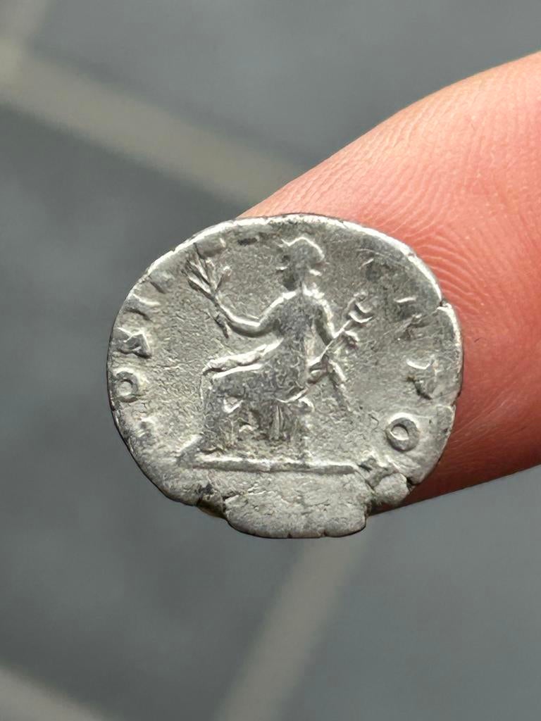 Bodemvondst Zilveren Denarius Vespasianus - COS II .. TR POT, Ophalen of Verzenden, Losse munt, Zilver