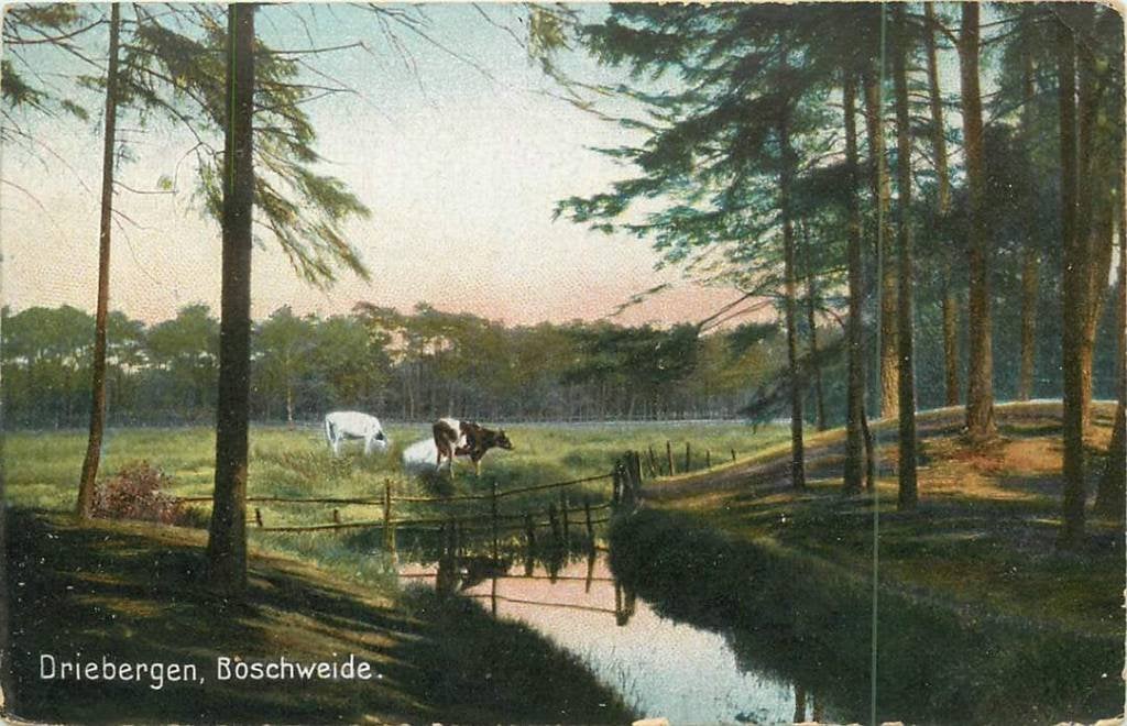 381-039-025 Driebergen Boschweide, Verzenden, Voor 1920, Utrecht