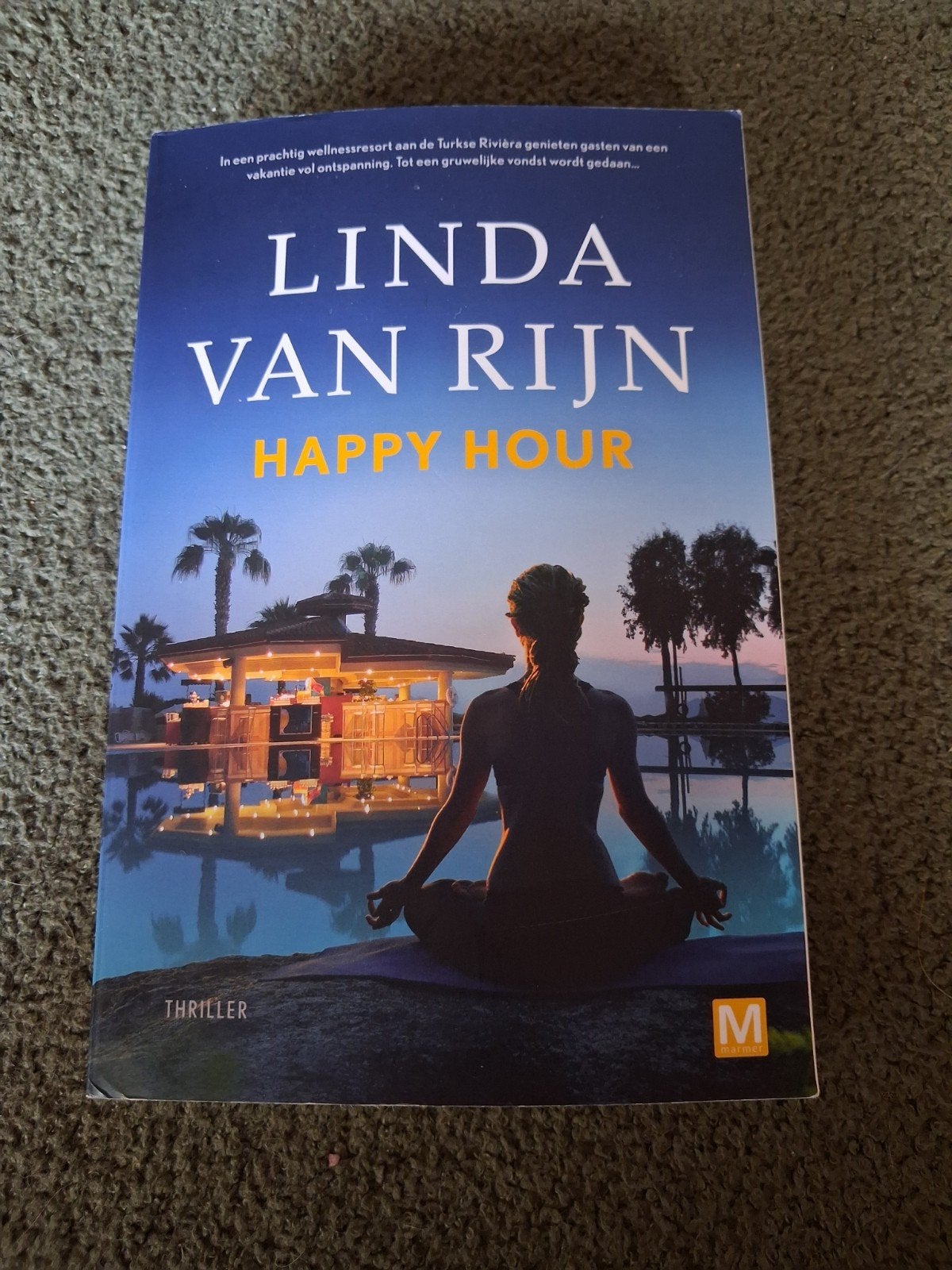 Happy Hour - Linda van Rijn (Thriller), Linda van Rijn, Ophalen of Verzenden, Zo goed als nieuw, Nederland
