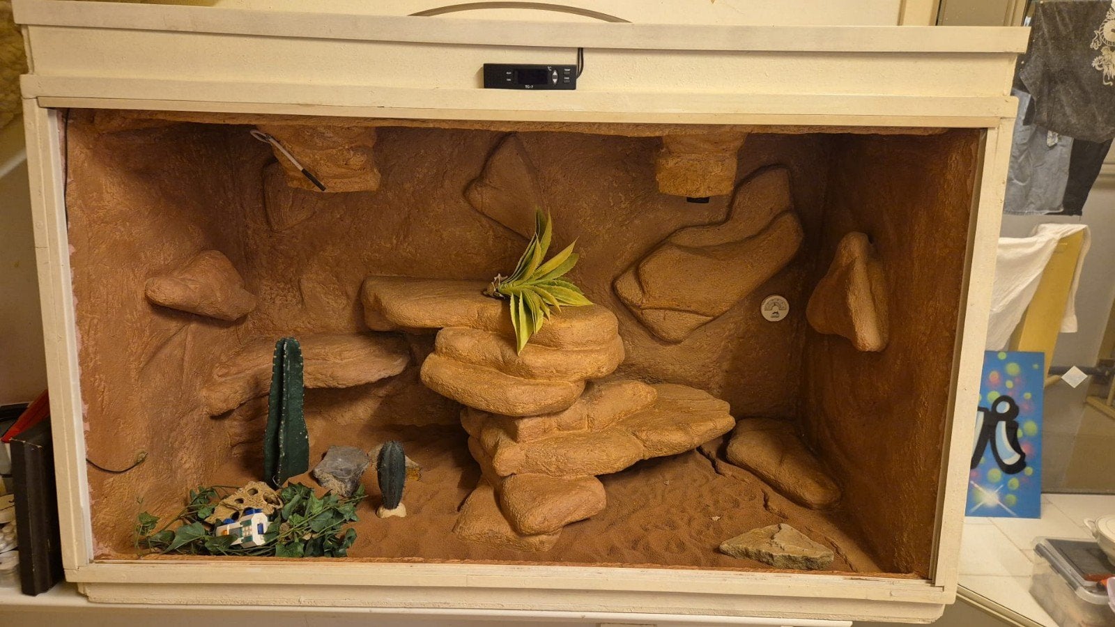 groot houten terrarium, Ophalen