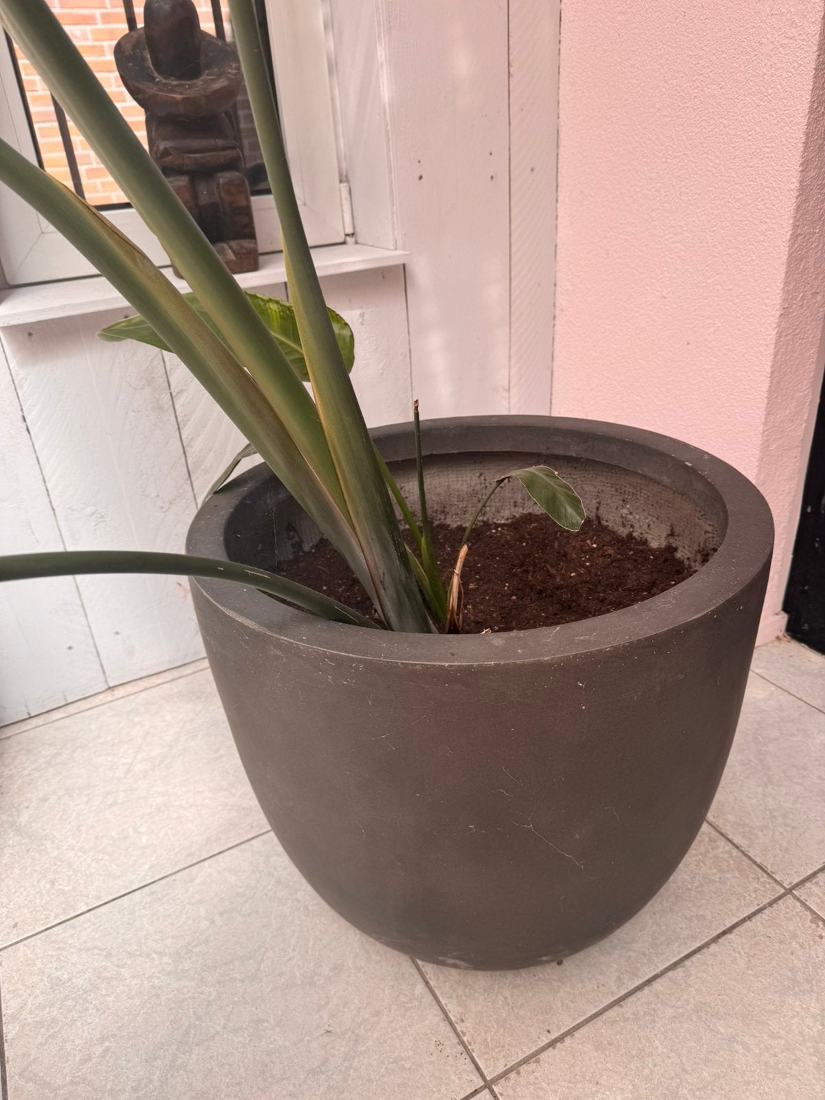 Grote bloempot antraciet | 55 cm doorsnede, Ophalen, Steen, Gebruikt, Rond