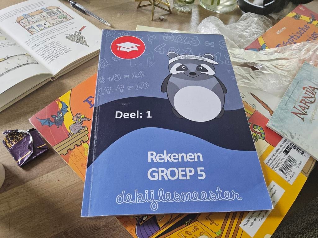 De Bijlesmeester Rekenen Groep 5 Deel 1, Gelezen, Wiskunde A, Ophalen of Verzenden, De Bijlesmeester