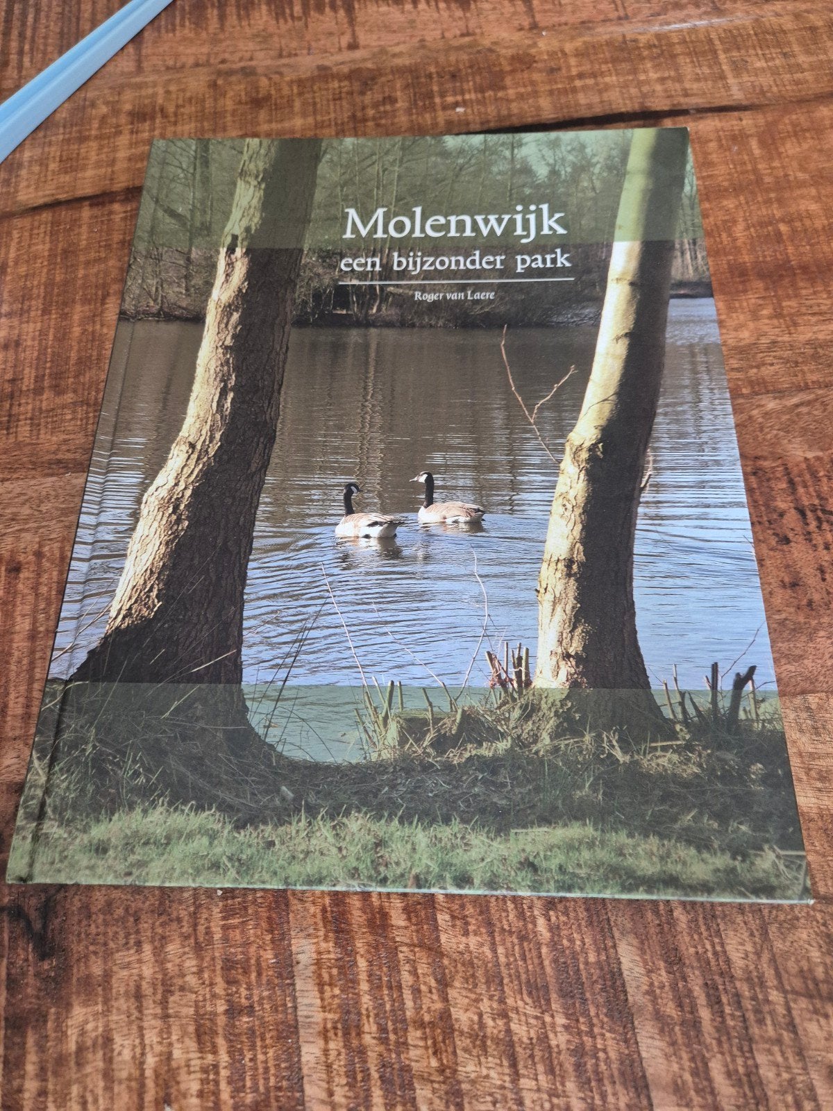 Mooi boek over Boxtel, Ophalen of Verzenden, Zo goed als nieuw, Overige onderwerpen