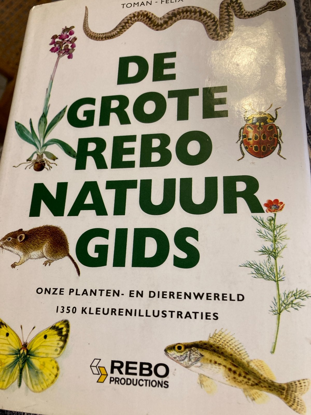 De Grote Rebo Natuurgids - Planten en Dierenwereld, Boeken, Ophalen of Verzenden, Gelezen, Natuur algemeen
