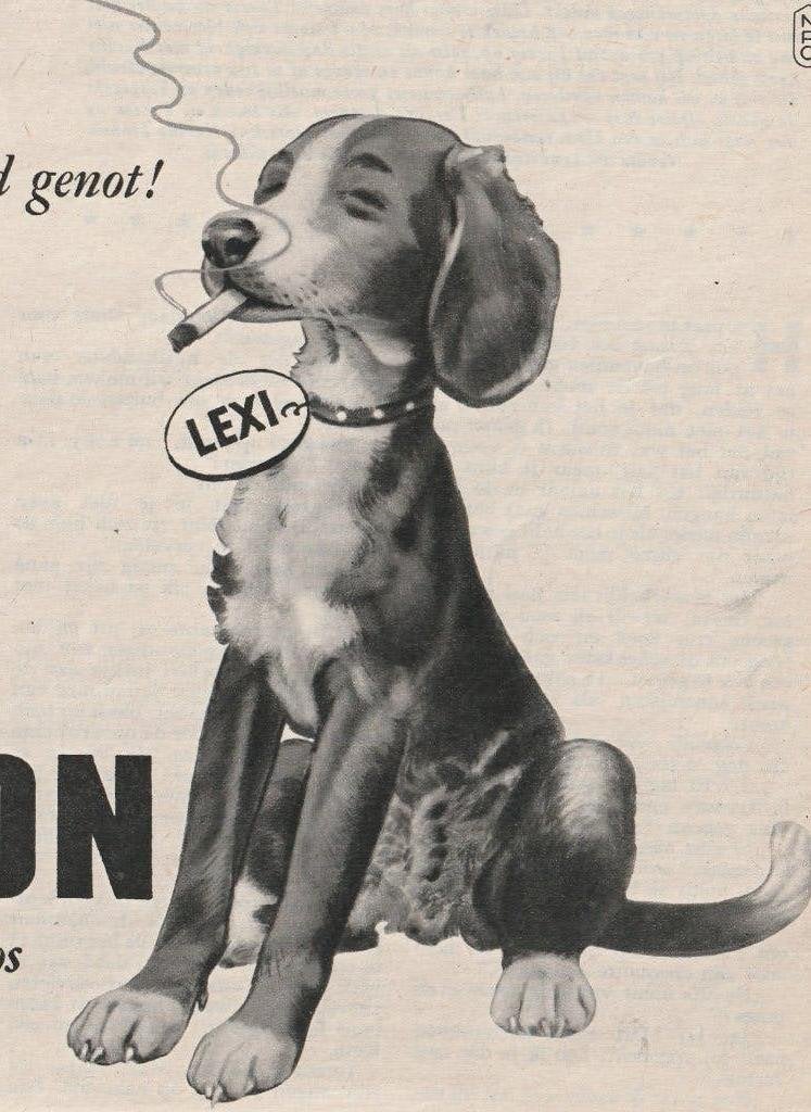 retro reclame 1955 Lexington sigaretten hond verfijnd, Verzenden, Overige typen
