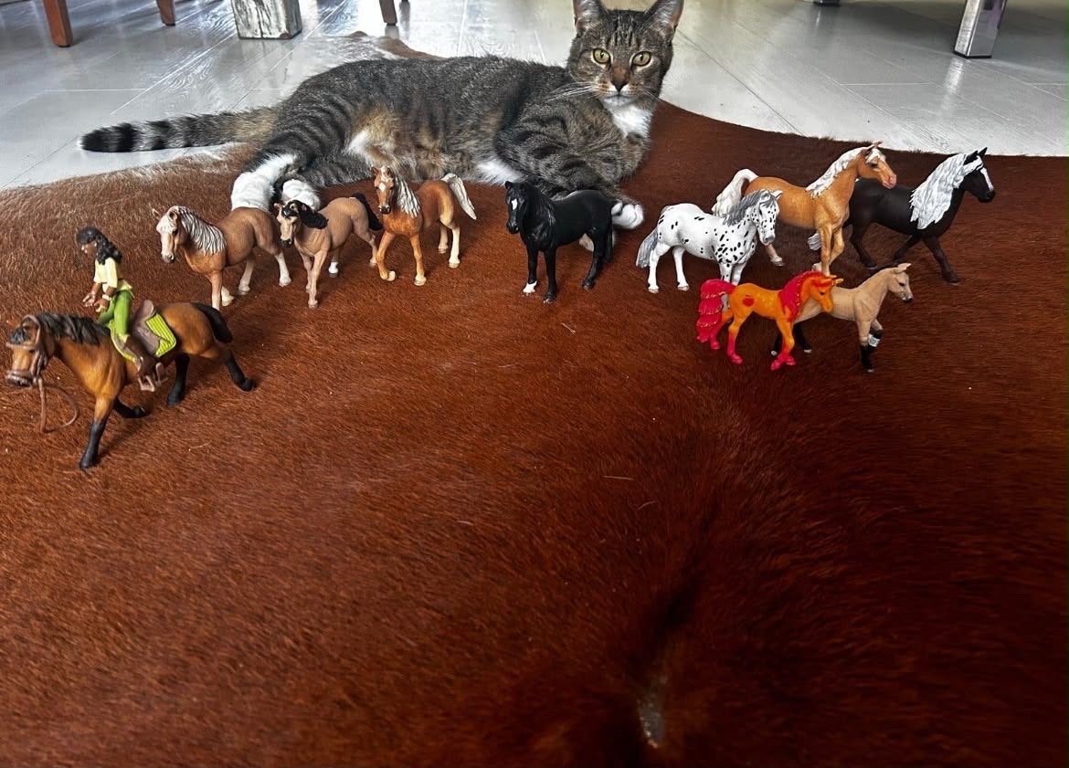 Grote collectie Schleich paarden en ruiterfiguren, Ophalen, Gebruikt
