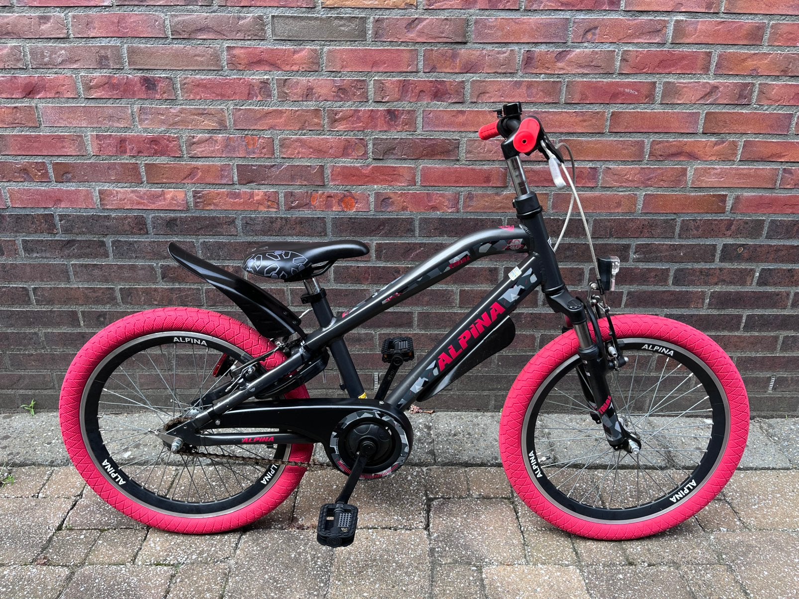 20” Alpina Trial, Ophalen, Velgrem, 20 inch, Handrem