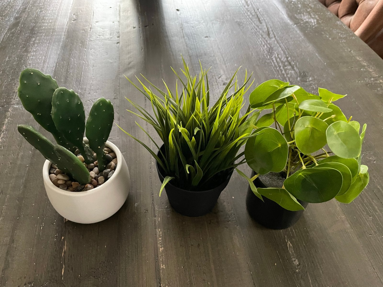 3 kunstplanten: cactus, gras en pannenkoekplant, Ophalen, Overige soorten, Halfschaduw, In pot