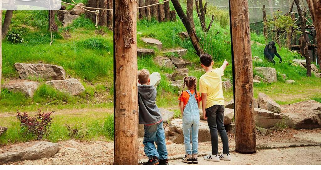 3 kaartjes voor dierenpark amersfoort 59,-, Drie personen of meer, Ticket of Toegangskaart