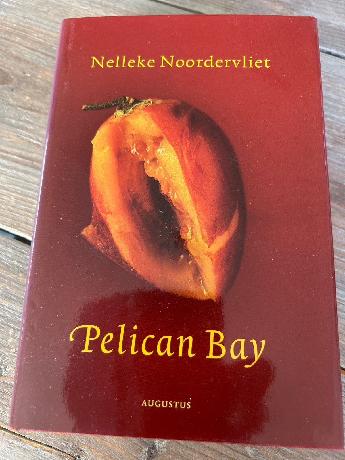 Pelican Bay - Nelleke Noordervliet (Gebonden), Ophalen of Verzenden, Gelezen, Nederland