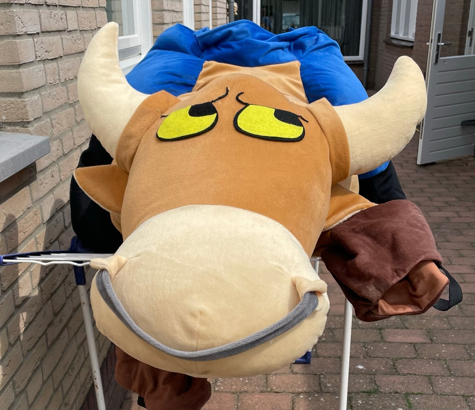 Grappig Stier Kostuum voor Carnaval of Themafeest, Ophalen, Zo goed als nieuw, Carnaval, Kleding