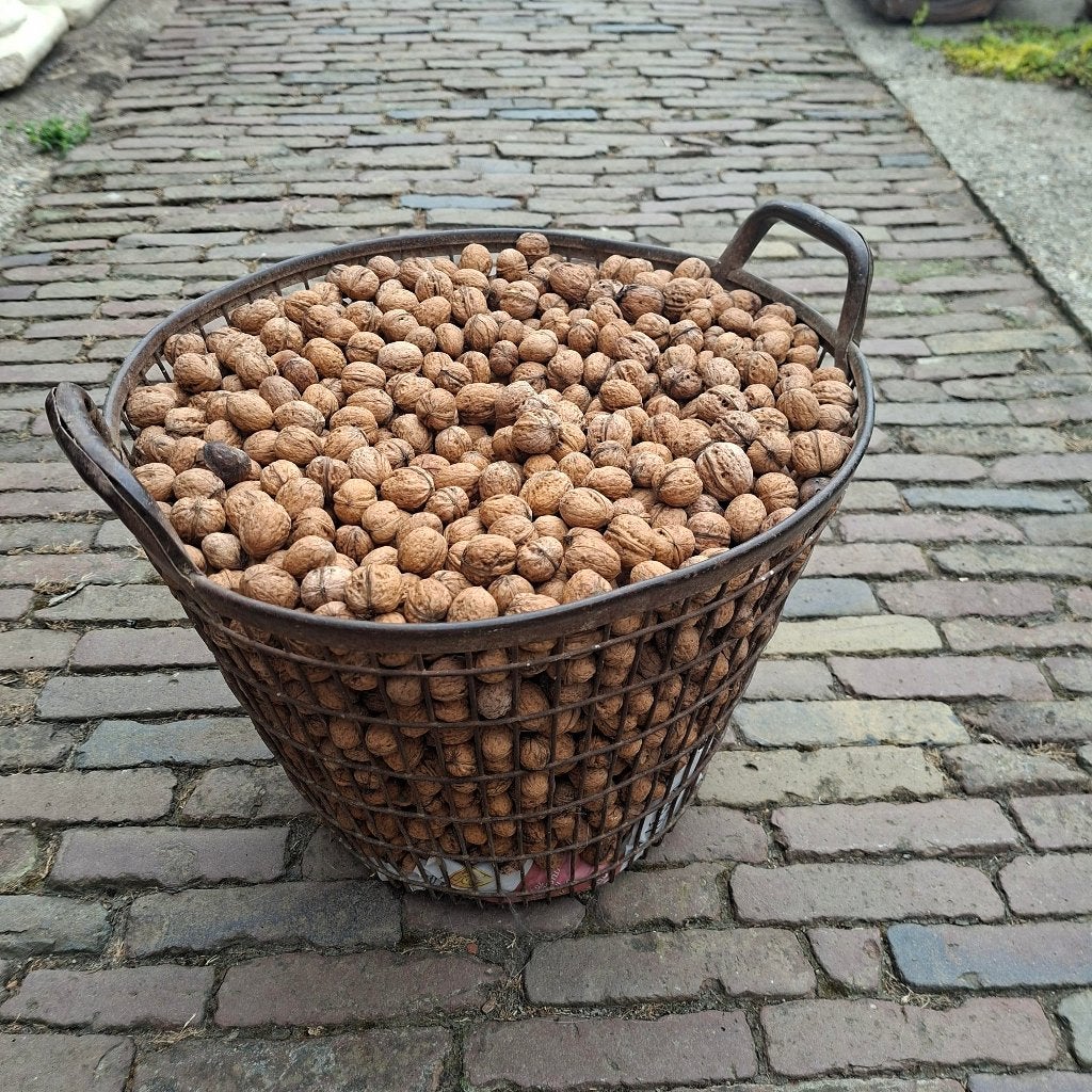Walnoten bio, Diversen, Ophalen
